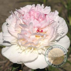 Madame de Verneville