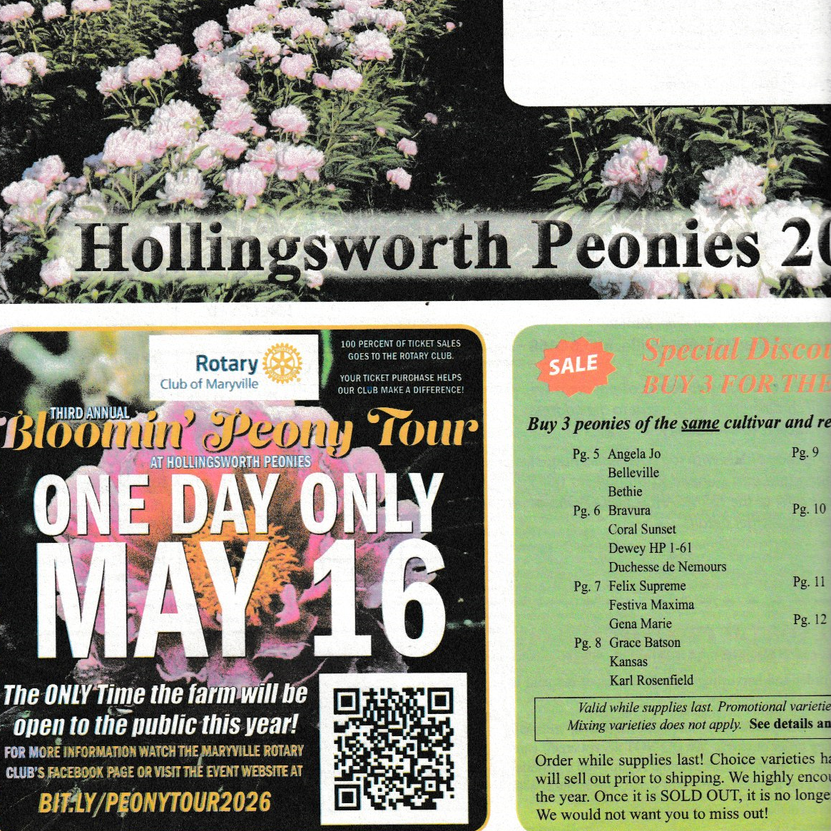 Peony sale advertisement with details